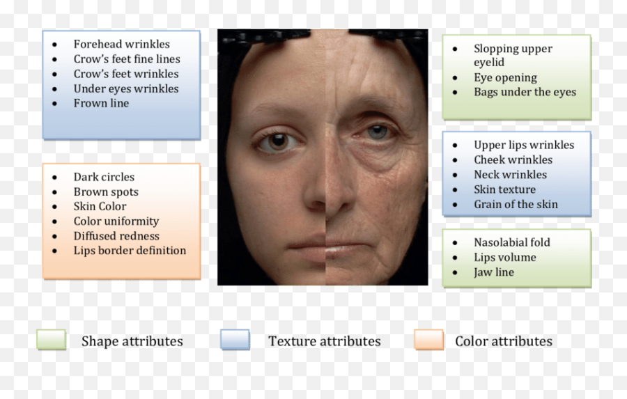 Young And An Old Woman Face - Difference Between Wrinkles And Fine Lines Png,Wrinkles Png