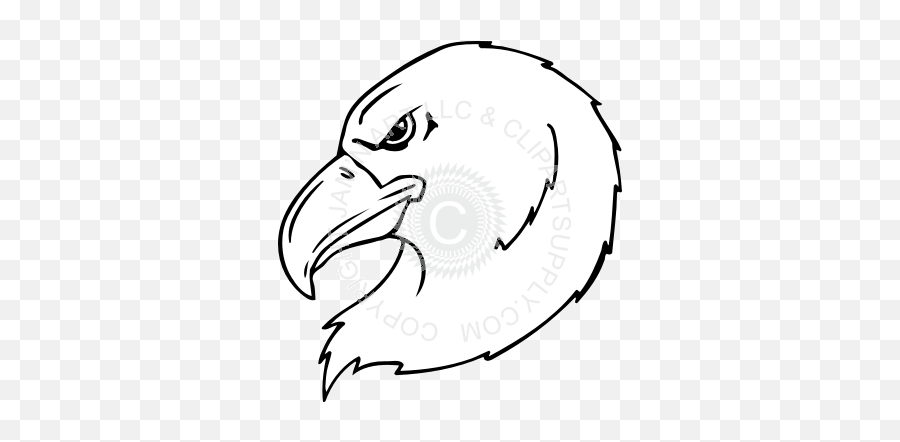 Eagle Head Looking Left - Illustration Png,Eagle Head Logo