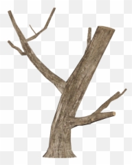 Image Dead Tree Log Picture Library - Vector png