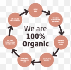 We Are 100 Organic - Pleneat 100 Organic Food Circle Of Organic Food Png,100% Natural Png