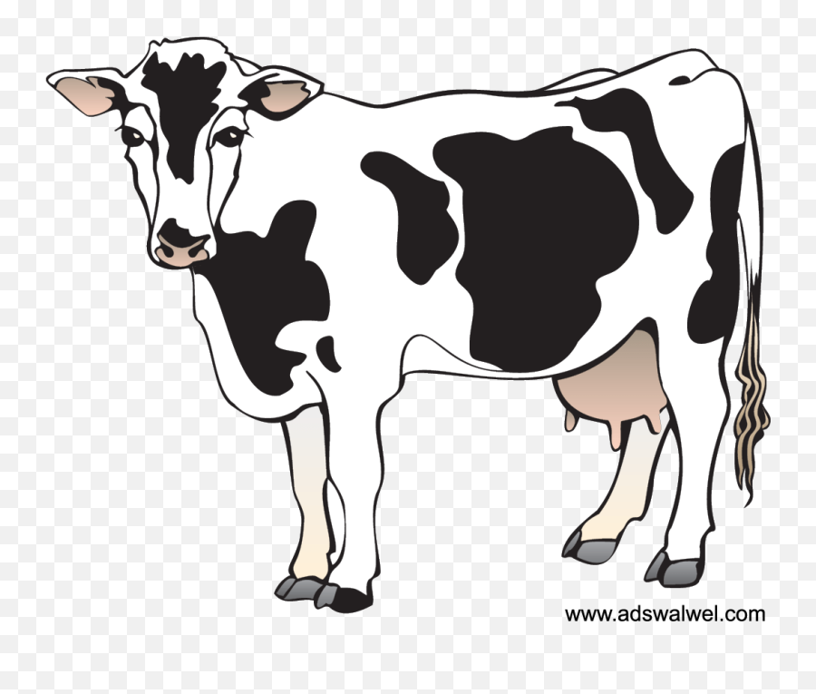 Cow Clipart - Cow Clipart Png,Cow Clipart Png