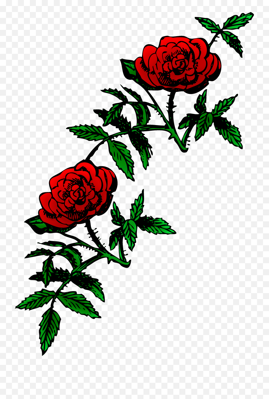 Download Hd Rose Vine Png - Public Domain Clip Art,Rose Vine Png