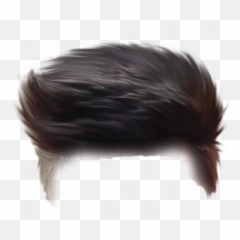 Best Hair Png Full Hd Transparent Images - Style