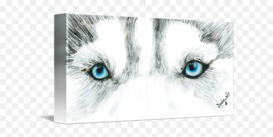 Wolf Eyes - Soft Png,Wolf Eyes Png