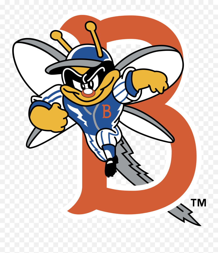 Binghamton Mets Logo Png Transparent Mets Minor League Teams,Mets