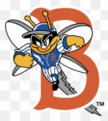 Binghamton Mets Logo Png Transparent - Mets Minor League Teams,Mets Logo Png