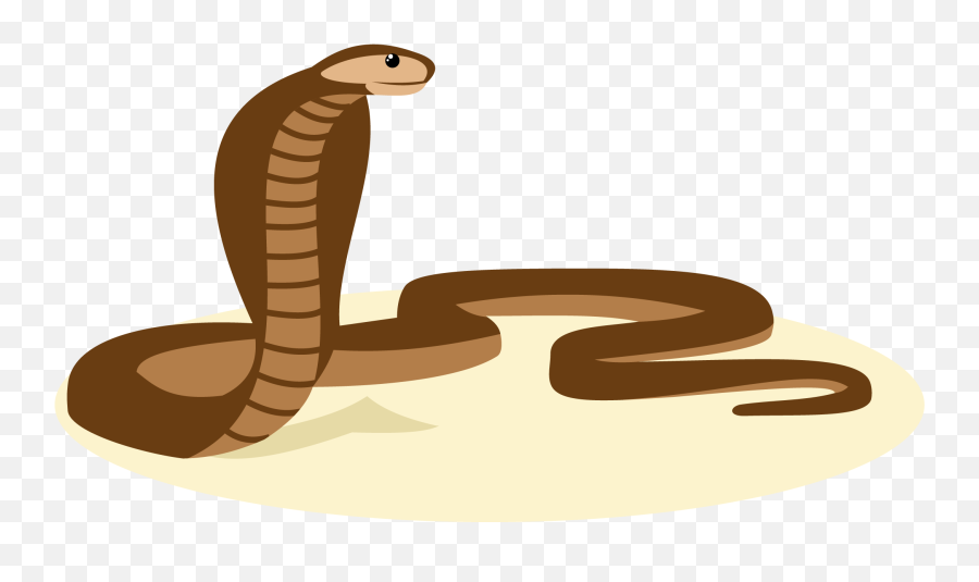 Download Snake Vector Reptile Cartoon - Snake Vector Png,Snakes Png