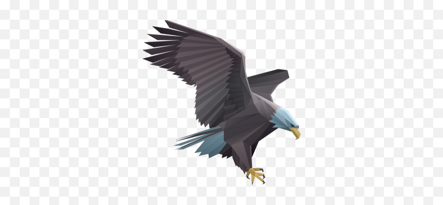 About Howel Eagles 3607 - Vector Image Eagle Origami Png,Fraternal Order Of Eagles Logo