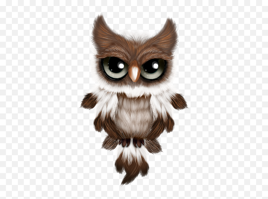 Pin By Maty Ruiz - Lapiz Buho Tierno Dibujo Png,Ovo Owl Png