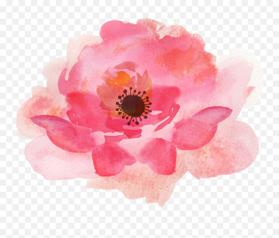 Pink Watercolor Flowers High Quality Png 46956 - Free Icons Transparent Background Watercolor Flowers Clipart,Transparent Pink Flowers