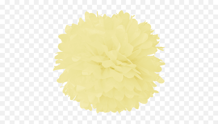 6 Powder Blue Tissue Pom Poms U2013 Lanterns And More - Decorative Png,Pom Poms Png