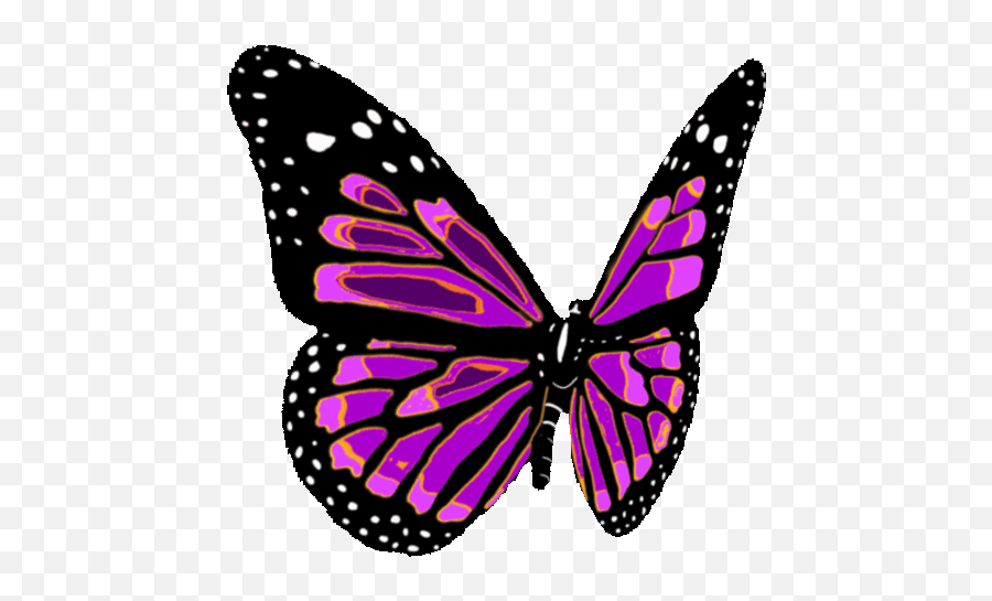 Butterfly Transparent Stickers For - Flying Butterfly Clipart Gif Png,Butterfly Transparent