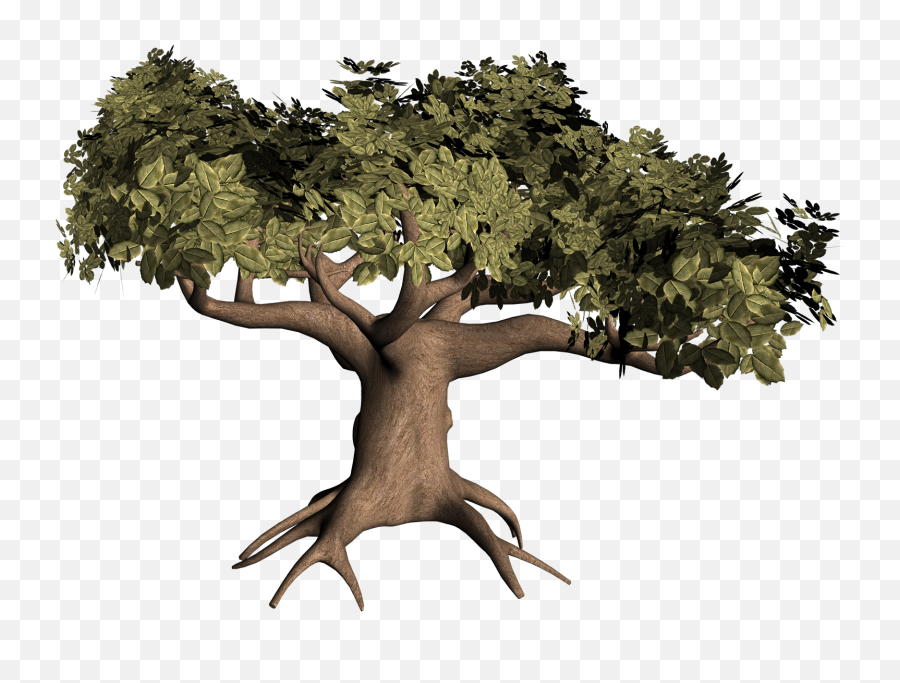 Rv - You A Leaf Branch Or Root Png,Big Tree Png