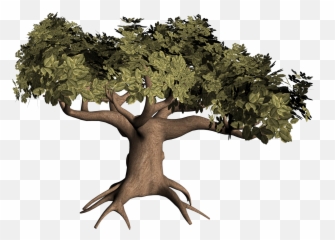 Rv - You A Leaf Branch Or Root Png,Big Tree Png