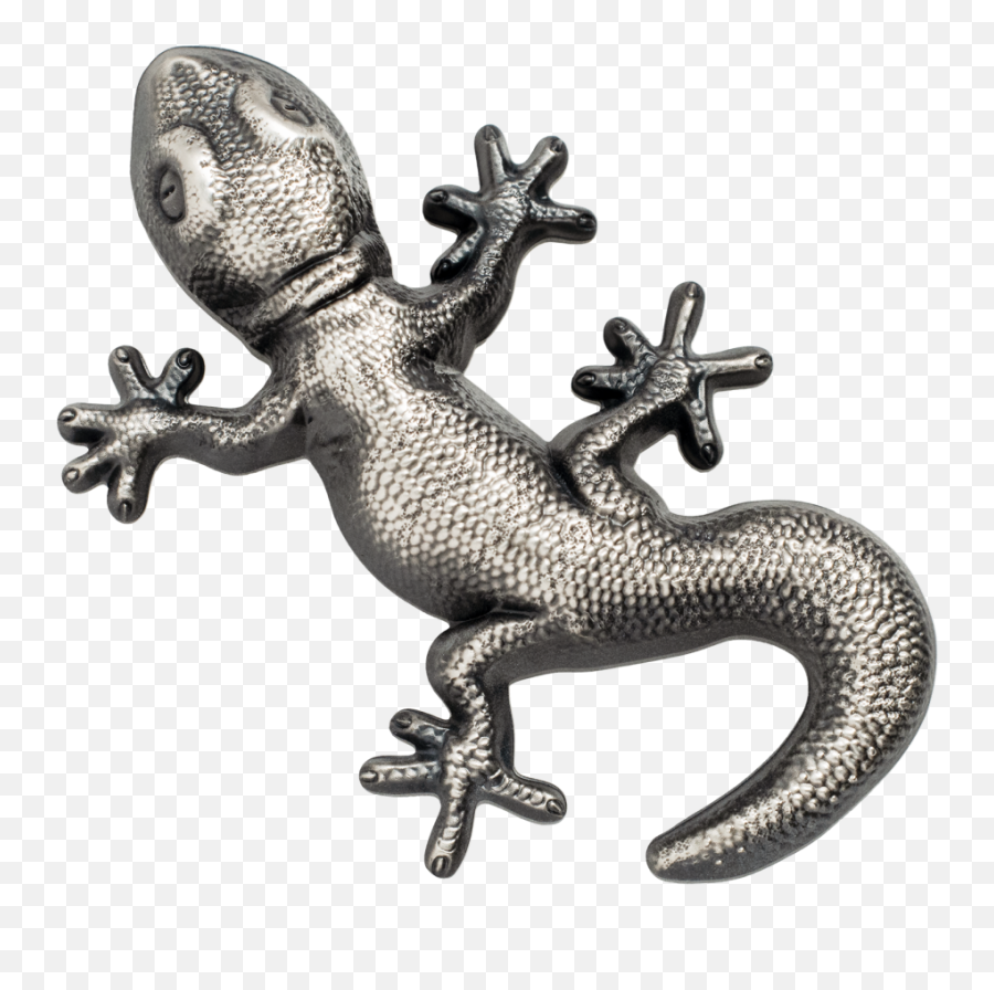 Silver Gecko U2013 Cit Coin Invest Ag - Gecko Silver Palau Png,Gecko Png