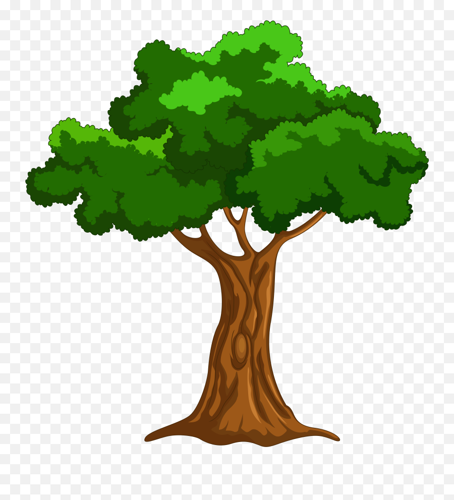 Free Cartoon Trees Png Download - Clipart Tree Png,Tree Canopy Png