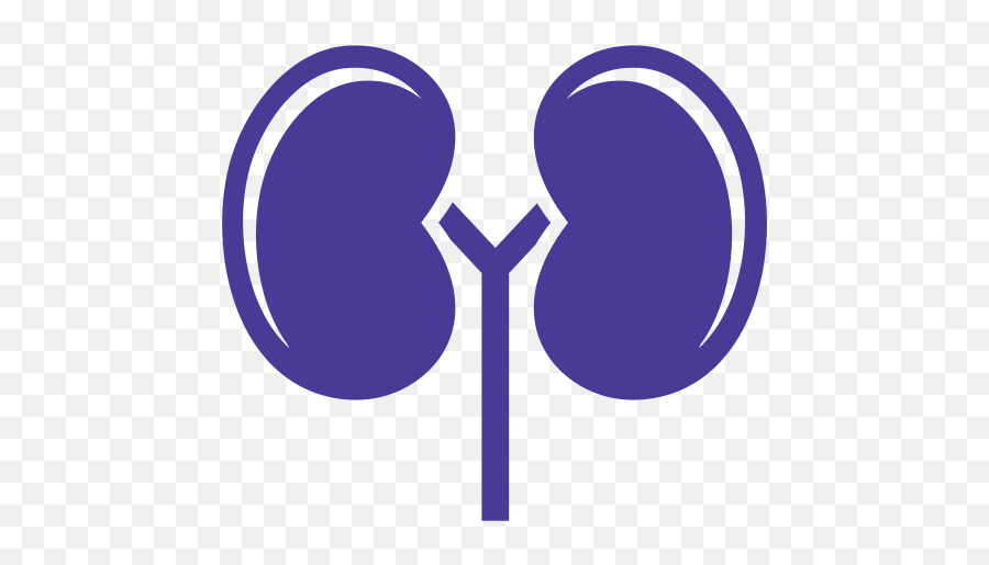 Kidneylink U2013 Connect To Kidney Research Innovation - Language Png,Kidney Icon