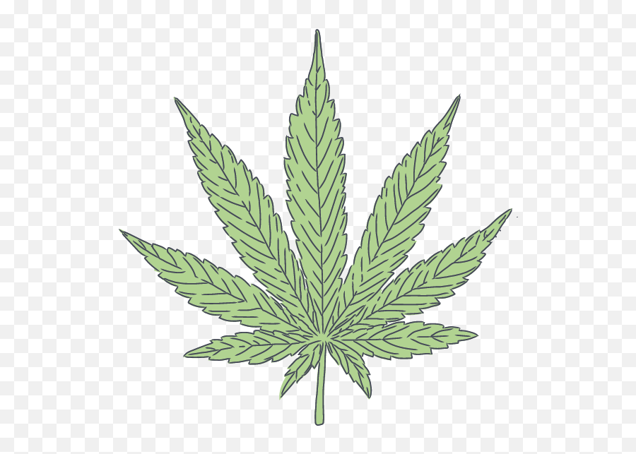 Simply Cannabis Inc Sativa - Simply Cannabis Inc Marijuana Clipart Transparent Png,Cannabis Leaf Png