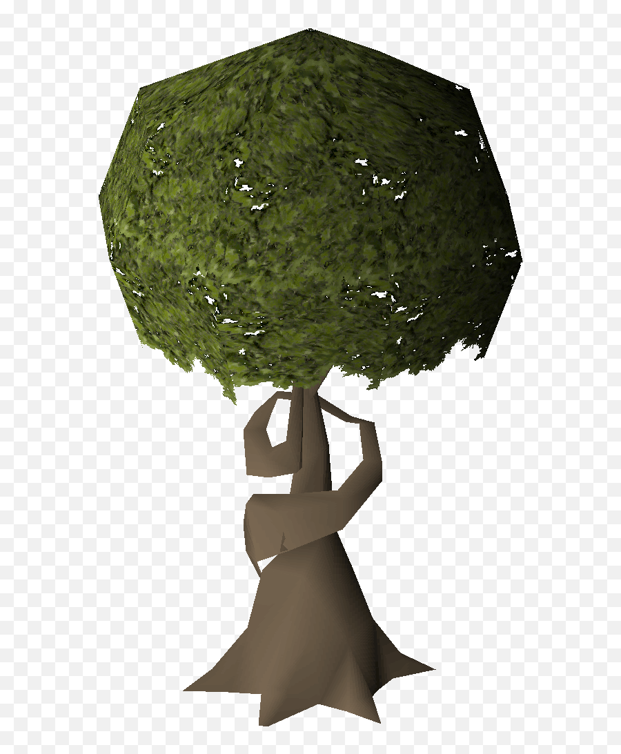 Swaying Tree - Osrs Wiki Runescape Png,Tree Illustration Png