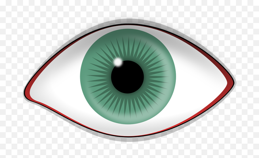 Free Iris Eye Vectors - Eye Clip Art Png,Realistic Eye Png