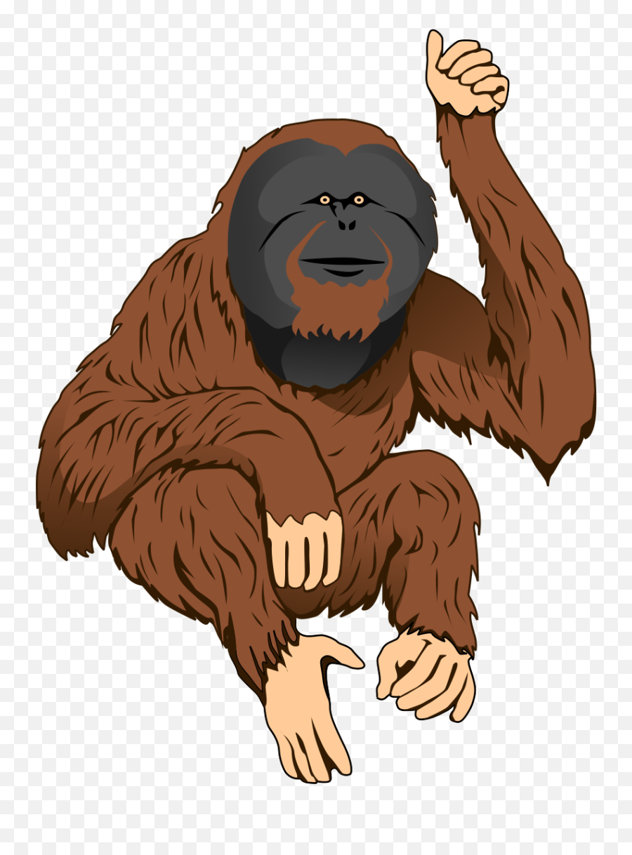 Gorilla Clipart Traceable - Orangutan Clipart Transparent Orangutan Clip Art Png,Gorilla Cartoon Png