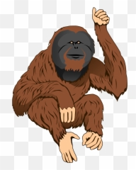 Gorilla Clipart Traceable - Orangutan Clipart Transparent Orangutan Clip Art Png,Gorilla Cartoon Png