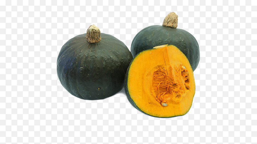 Pumpkin Bangga P711 U2013 Green World Genetic - Green Pumpkin Transparent Png,Pumpkin Transparent