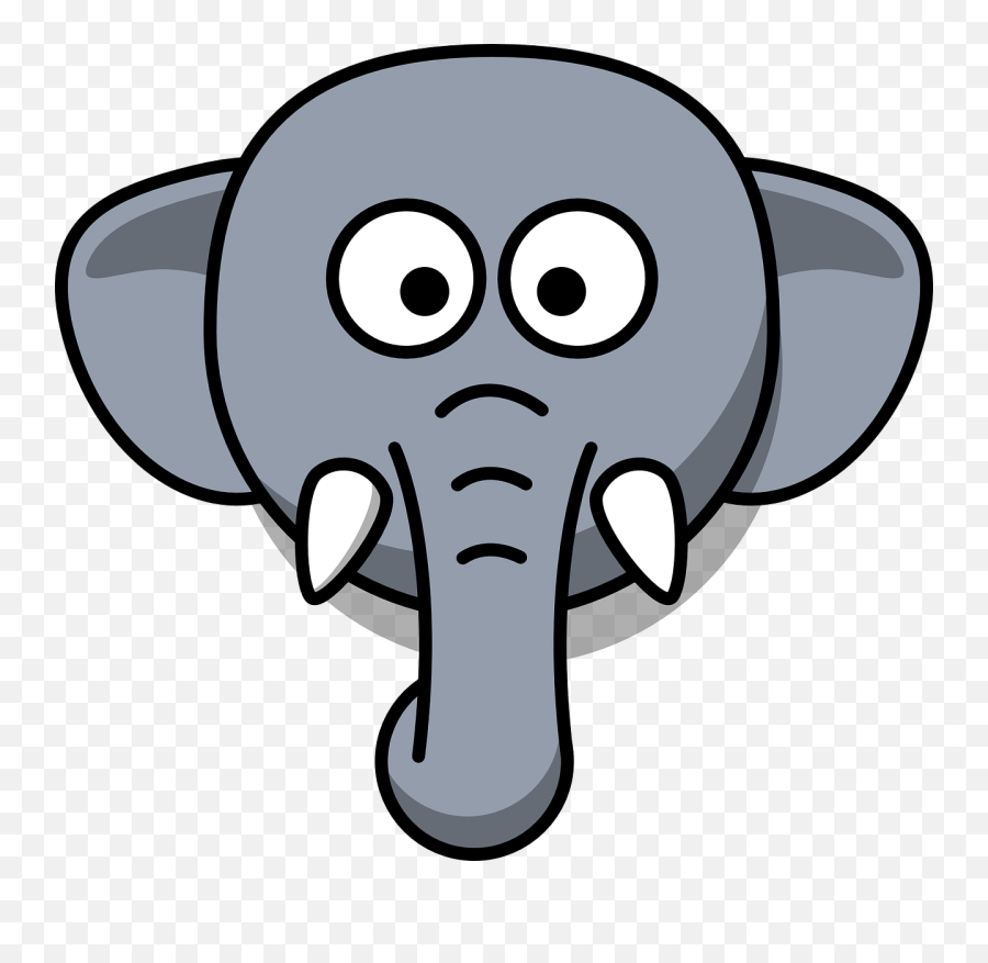 Elephant Head Stupid - Free Vector Graphic On Pixabay Elephant Head Clipart Png,Stupid Png