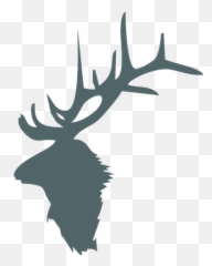 Main - Elk Antlers Clipart Png,Antlers Png