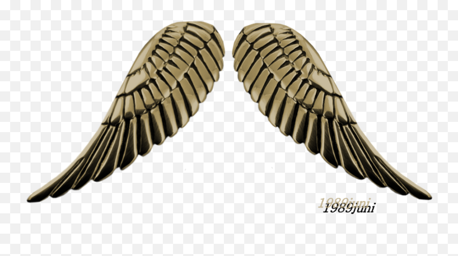 Robot Wings Png 2 Image - Robot Wings Png,Realistic Angel Wings Png