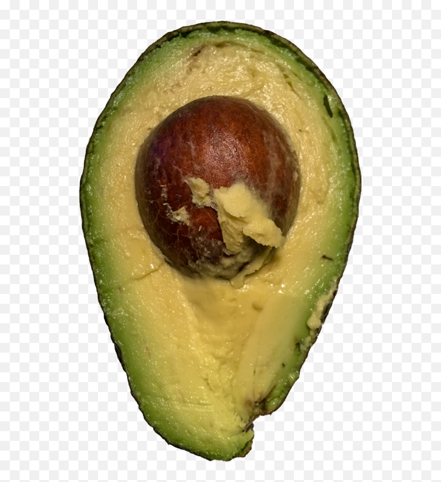 Avocado Transparent Image - Avocado Png,Avocado Transparent