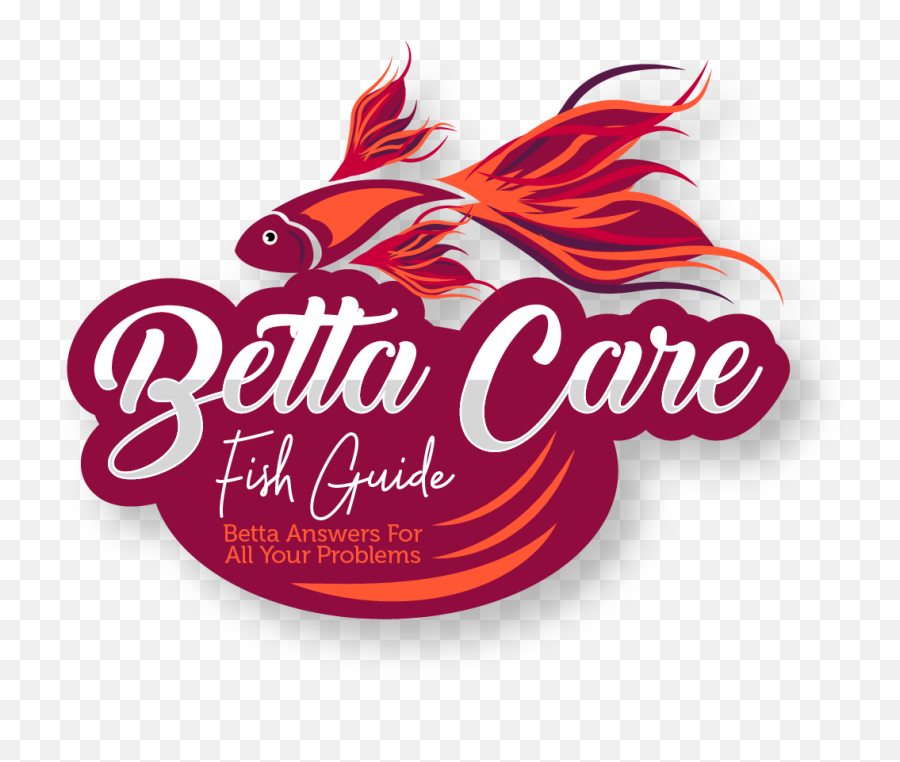Betta Care Fish Guide - Graphic Design Png,Betta Fish Png
