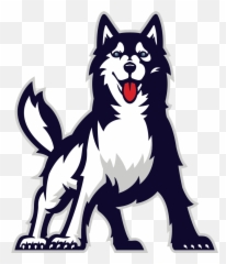 North Broad Reading Challenge - North Broad Elementary School Chapin Huskies High School Png,Husky Transparent