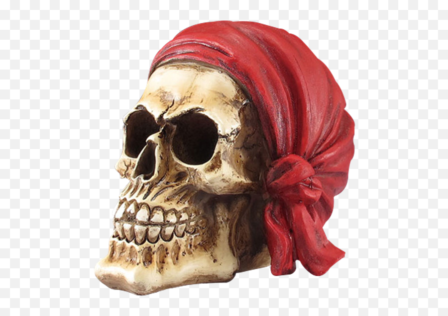 Download Pirate Skull With Red Bandana Statue - Skull Full Skull Png,Red Bandana Png