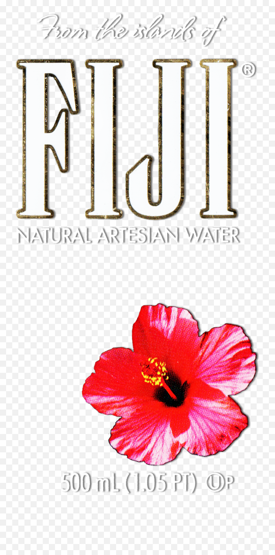 Download Hibiscus Flower Png Image - Fiji Water Flower Png,Hibiscus Flower Png