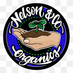 Bruce Banner 3 - Nelson And Company Organics Nelson Co Png,Bruce Banner Png