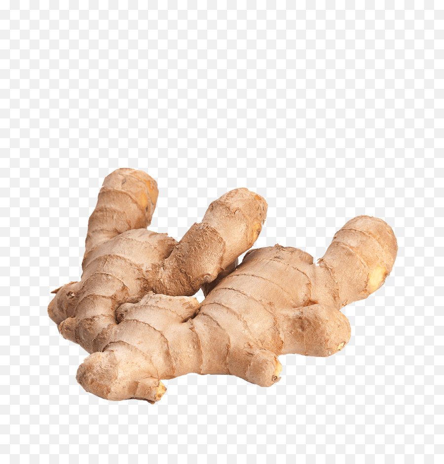 Download Ginger Png - Ginger Hd,Ginger Png