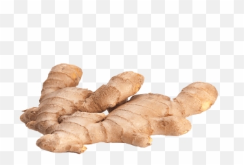 Download Ginger Png - Ginger Hd,Ginger Png