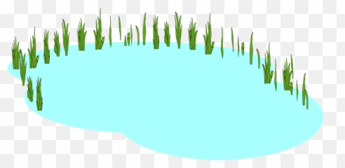 Pond Marsh Lake - Transparent Background Pond Clipart Png,Swamp Png