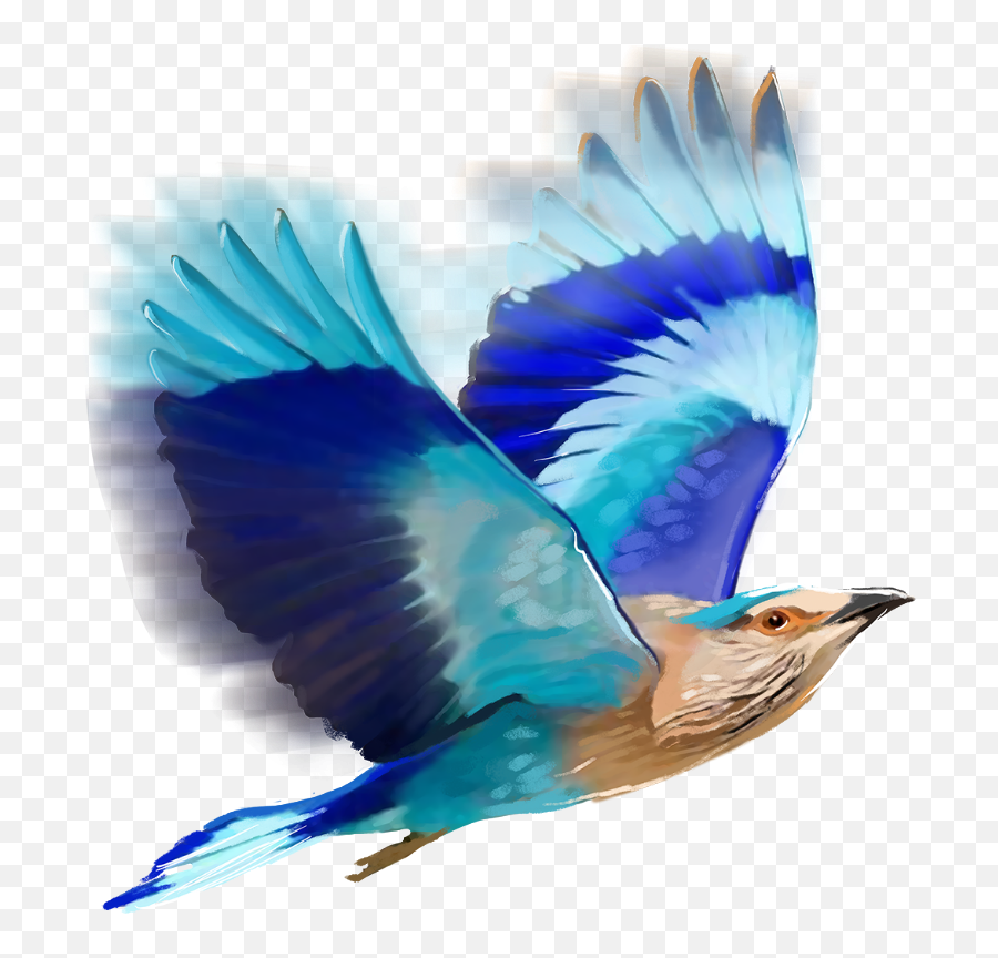 Birds Png Editing - Clip Art Library Editing Birds Png Hd,Png Photo Editing
