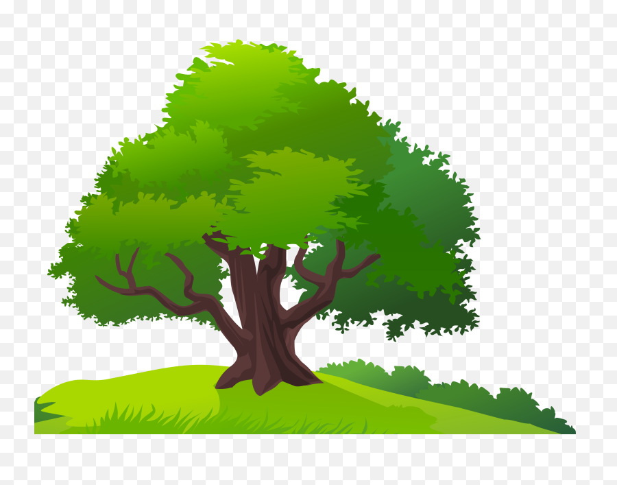 Tree And Grass Png Clipart Image - Trees And Grass Clipart Mango Tree Clipart Png,Transparent Trees