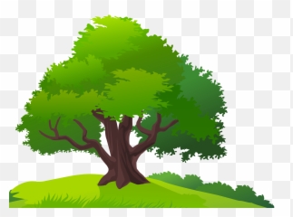 Tree And Grass Png Clipart Image - Trees Mango