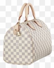 Iconic Bags Louis Vuitton Speedy Trendissimo Pl - Hand Bags South