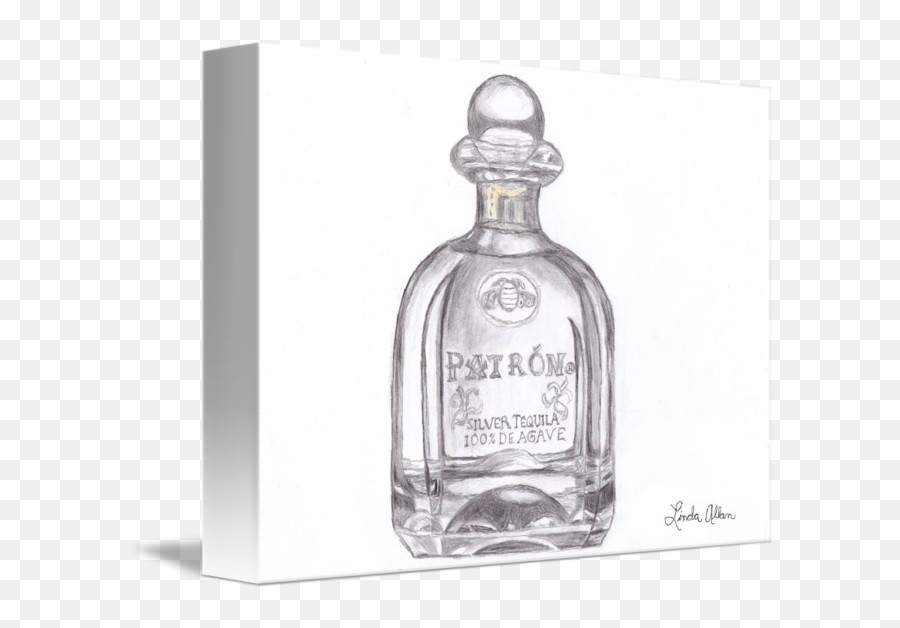 Download Patron Bottle Pencil Sketch By Patron Bottle Drawing Png