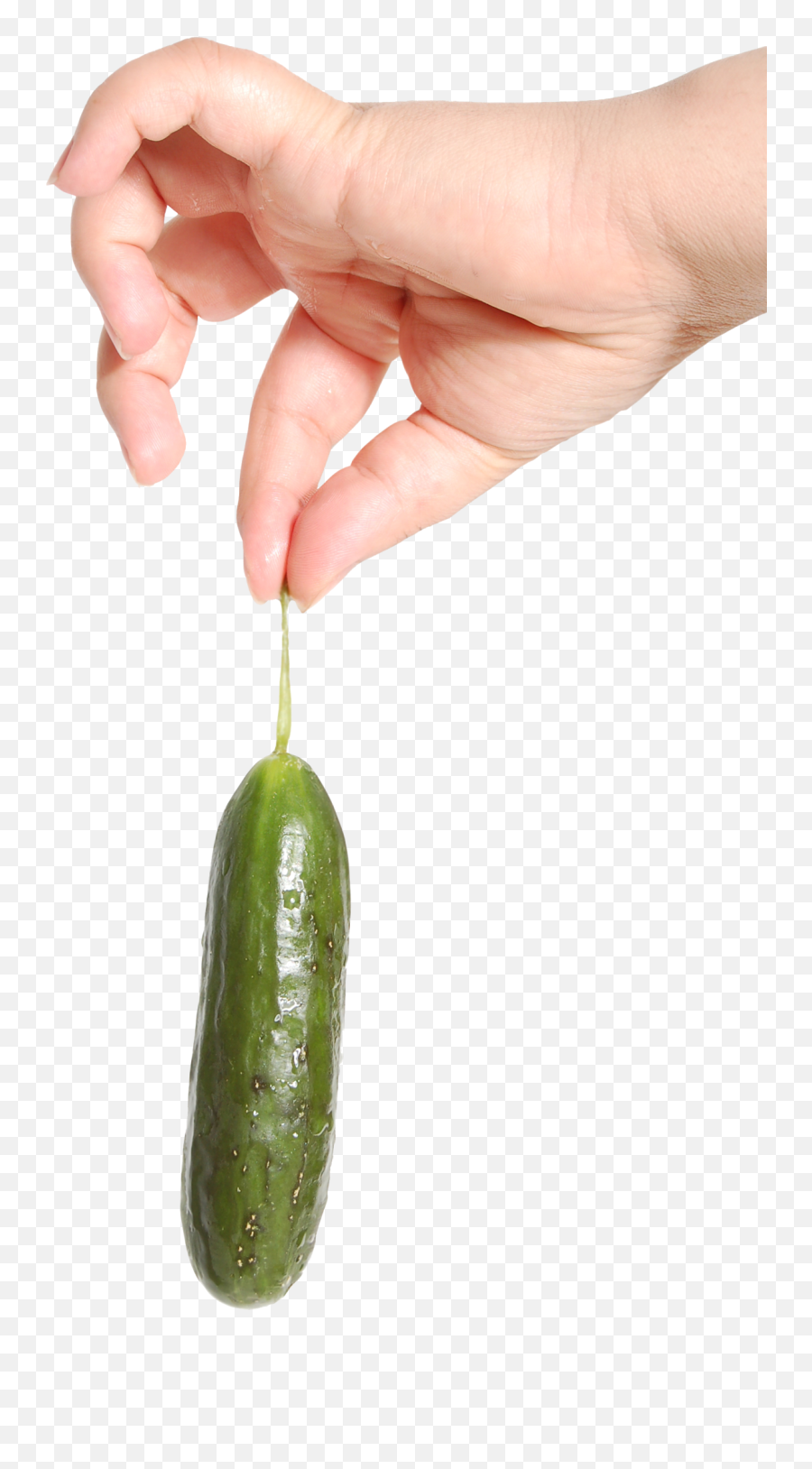 Hand Holding Cucumber Png Image - Cucumber In Hand Transparent,Cucumber Png