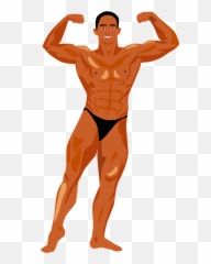 Bodybuilding Clipart - Bodybuilder png