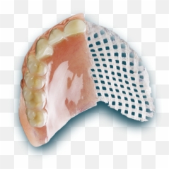 Fiber Force For Full Dentures - Australia Day Word Search Printable Png,Dentures Png