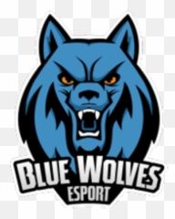 Blue Wolves Clan - Guilded Automotive Decal Png,Blue Wolf Logo