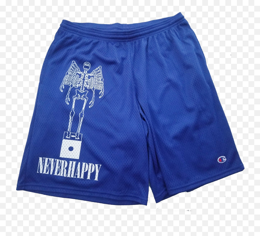 Champion Neverhappy Mesh - Boardshorts Png,Nike Icon Mesh Shorts