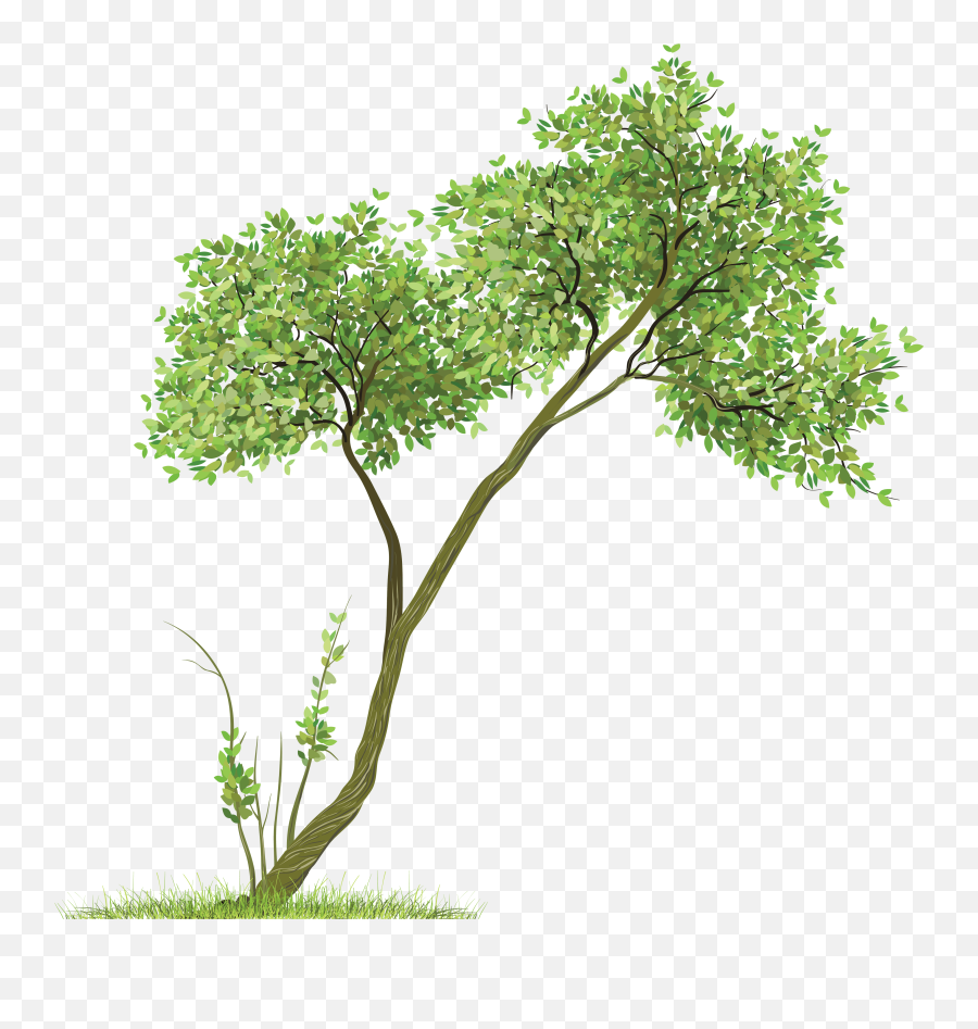 Tree Png Image Icon Favicon - Tree With Swing Png,Free Tree Png